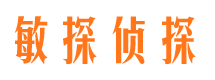 牡丹市侦探调查公司